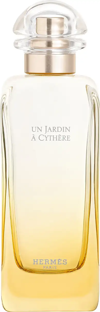 Vapo 100 ml