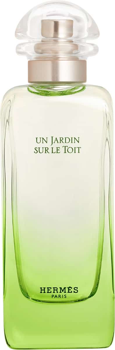 Vaporisateur 100 ml
