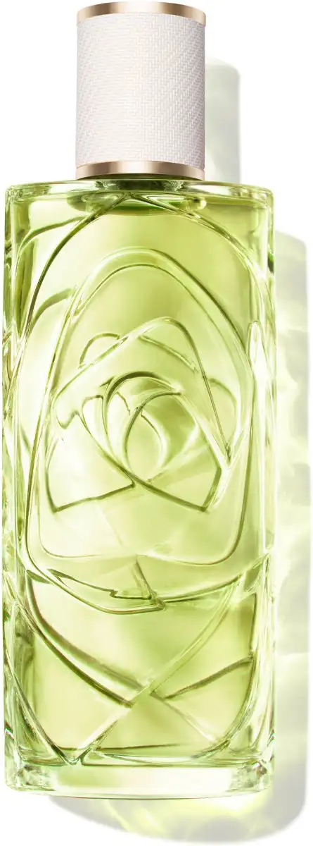 Vapo 100 ml