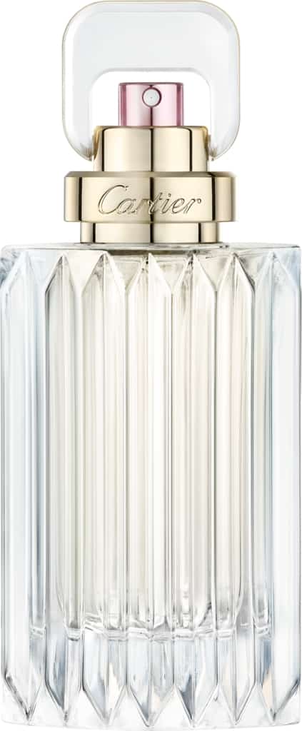 Vapo 100 ml