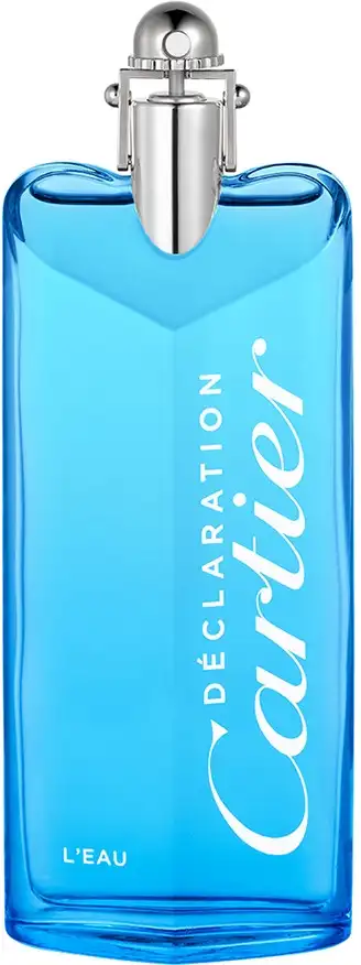 Vapo 100 ml
