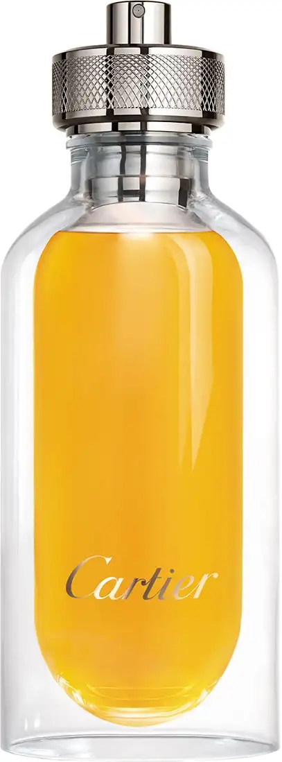 Vapo Rechargeable 100 ml