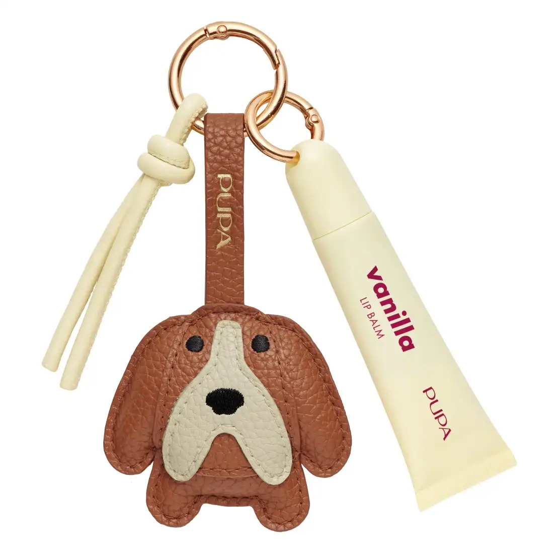Vanilla - Chien Toby