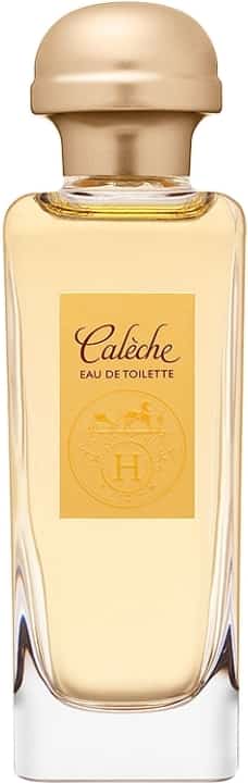 Vaporisateur 100 ml