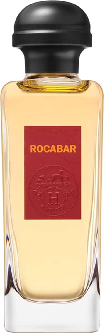 Vaporisateur 100 ml