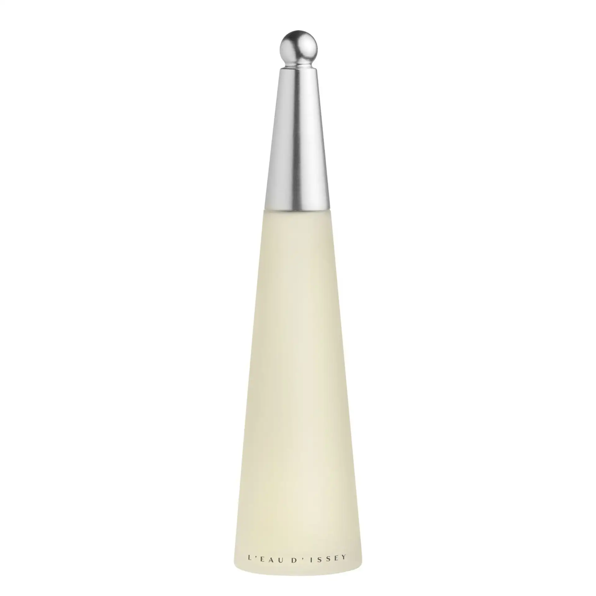 Vapo 100 ml