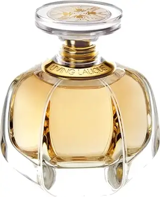Vapo 50 ml