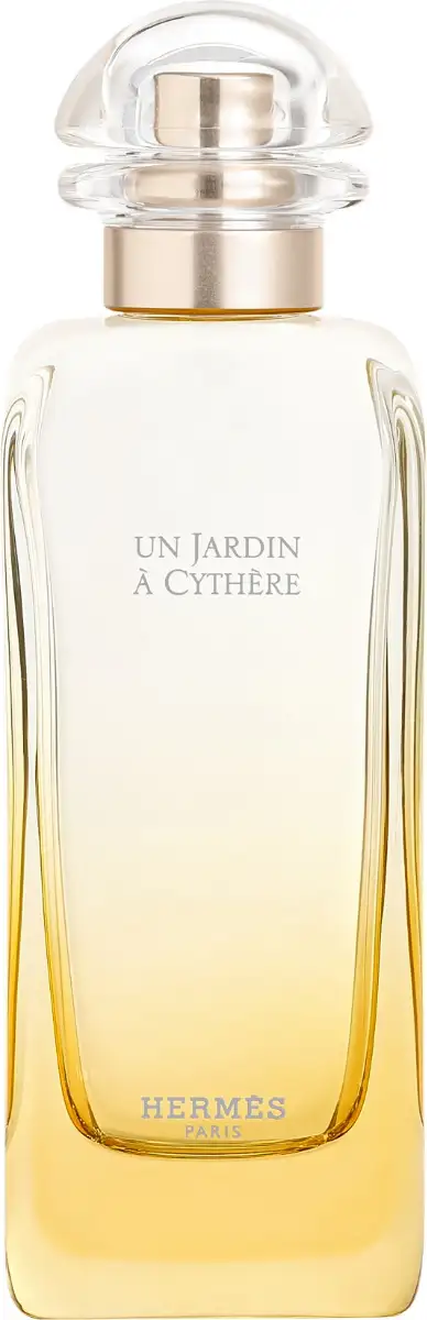 Vapo 100 ml