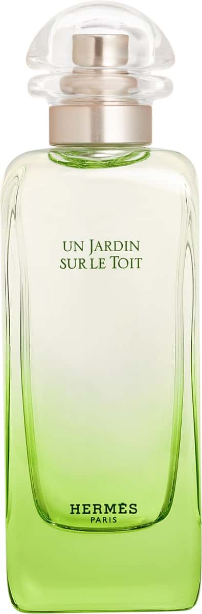 Vaporisateur 100 ml