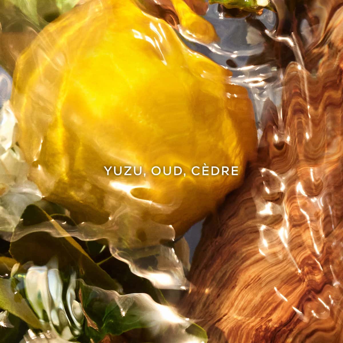 Vue 3