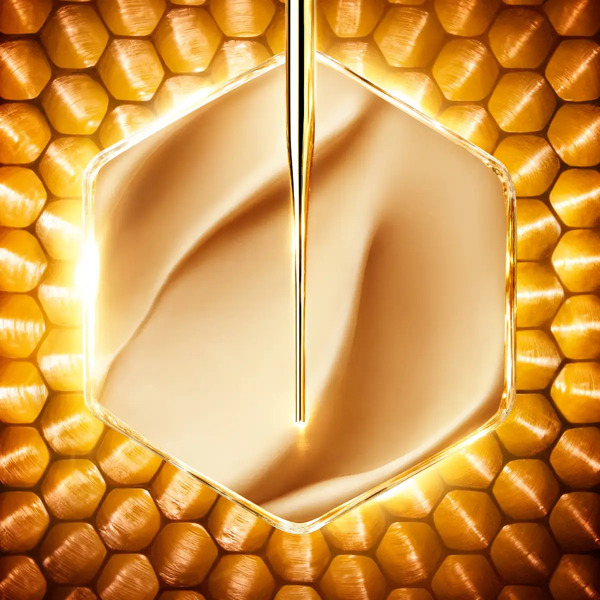 Vue 6