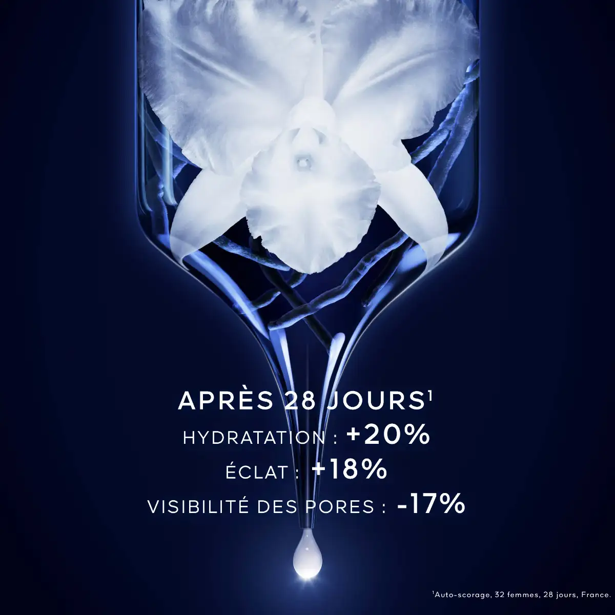 Vista 6