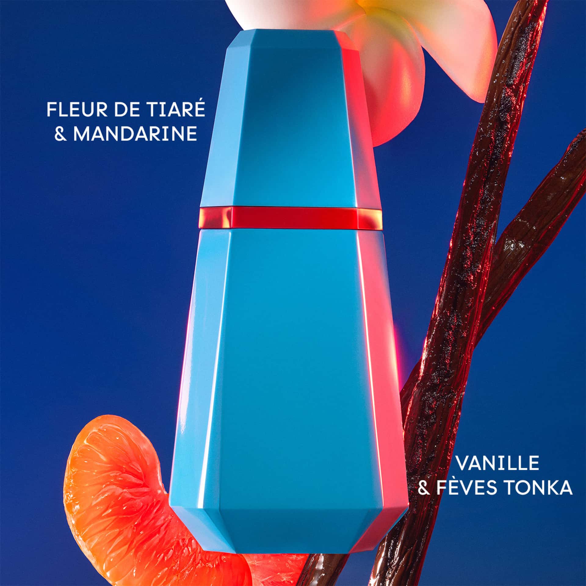 Vue 4