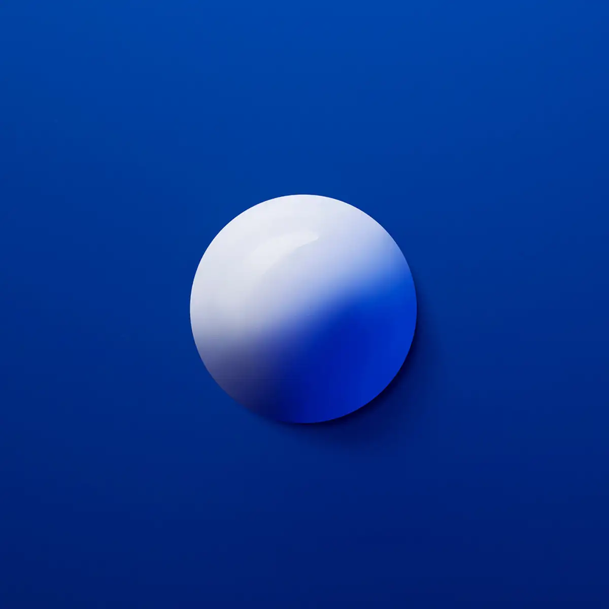Vista 4