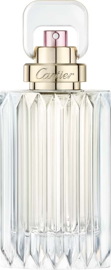 Vapo 100 ml