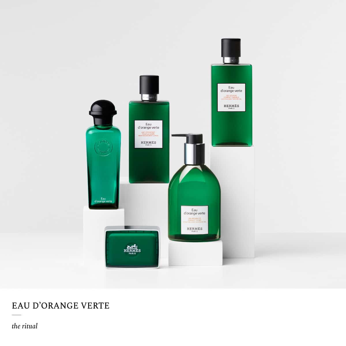 Vue 5