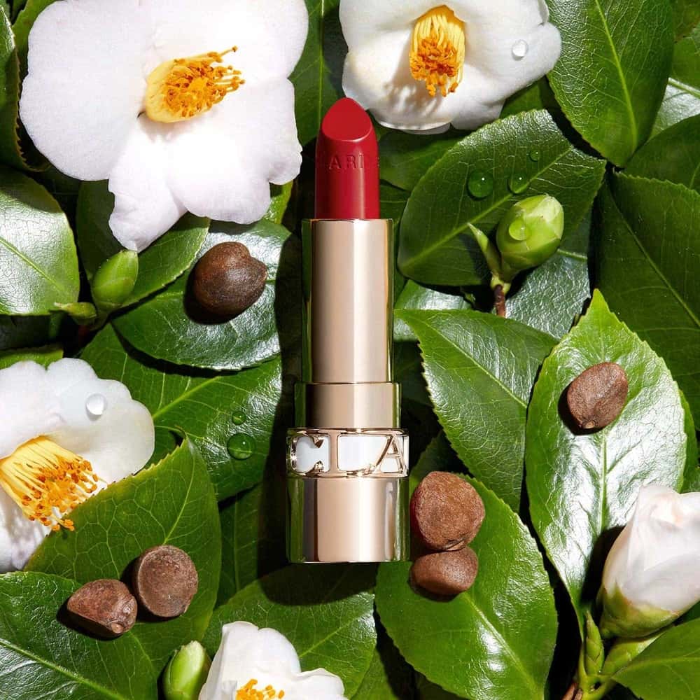 Vue 3