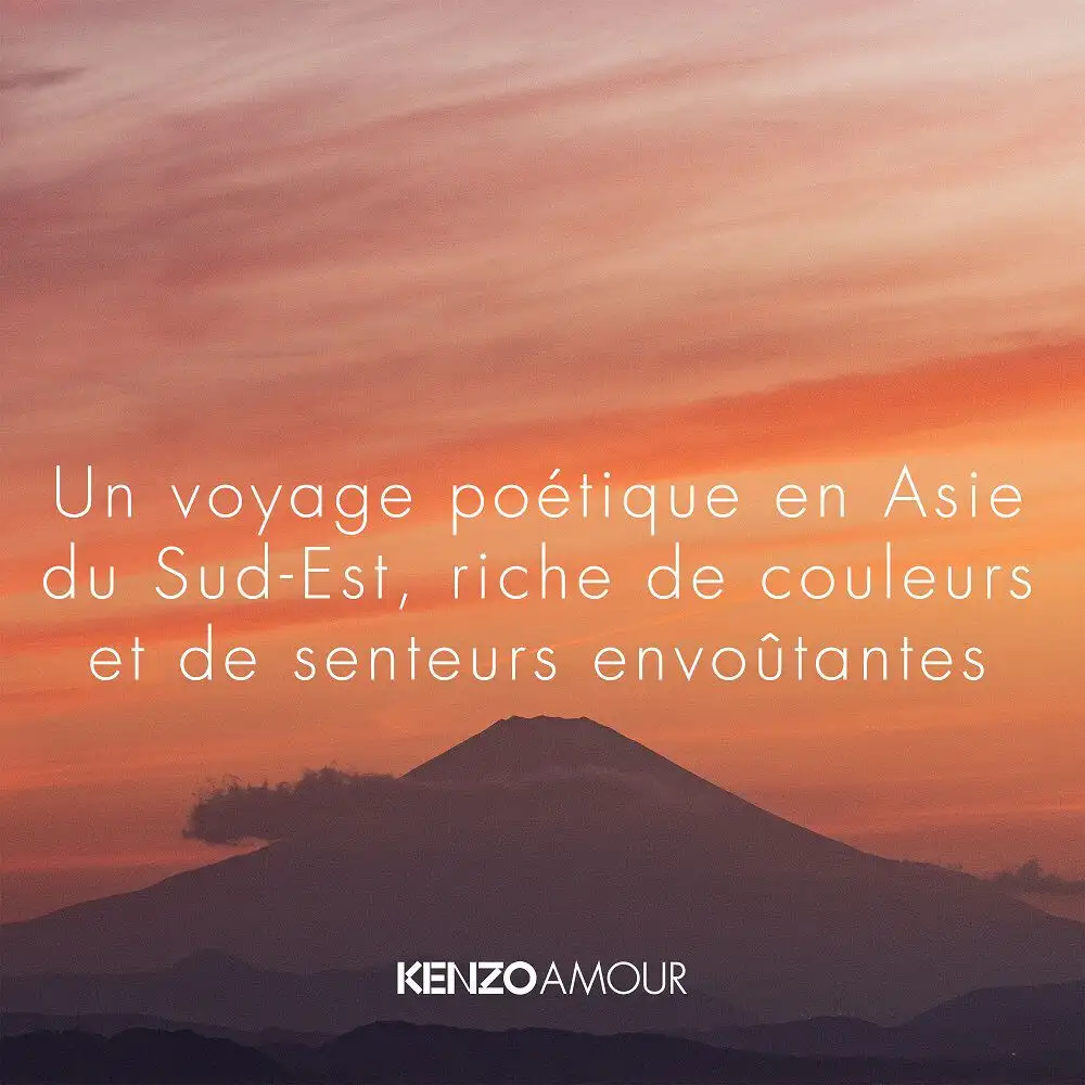 Vue 4