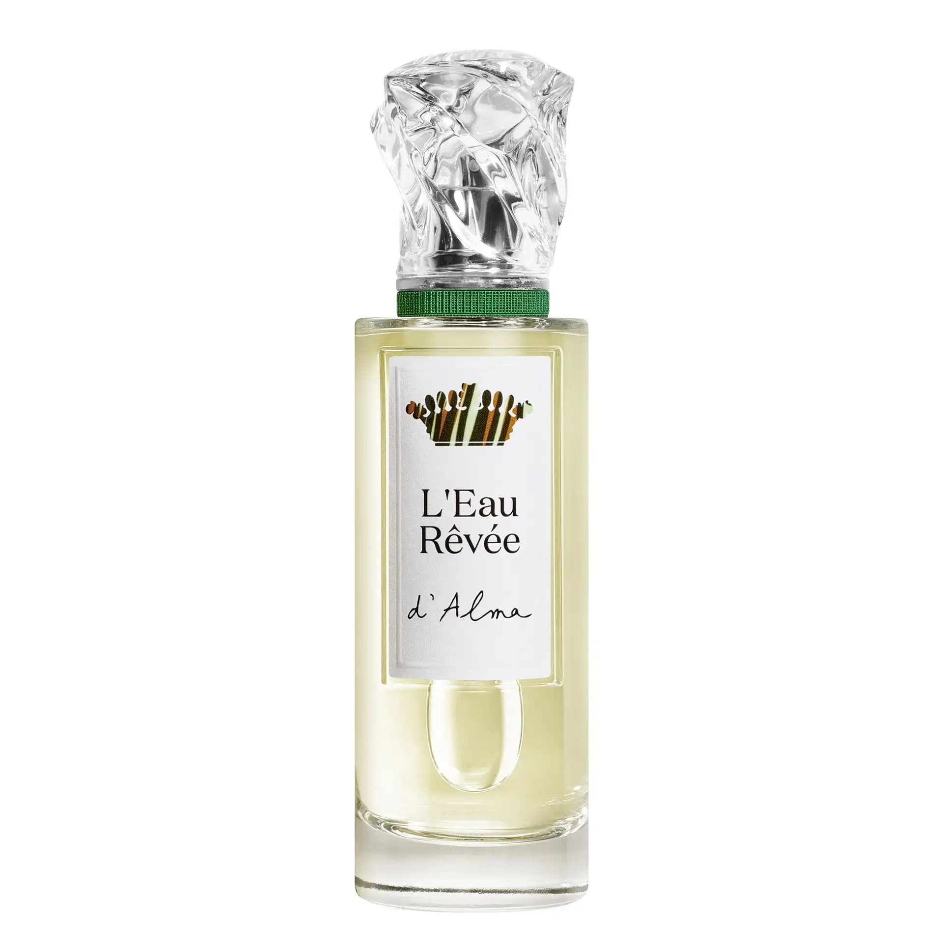 Vapo 100 ml