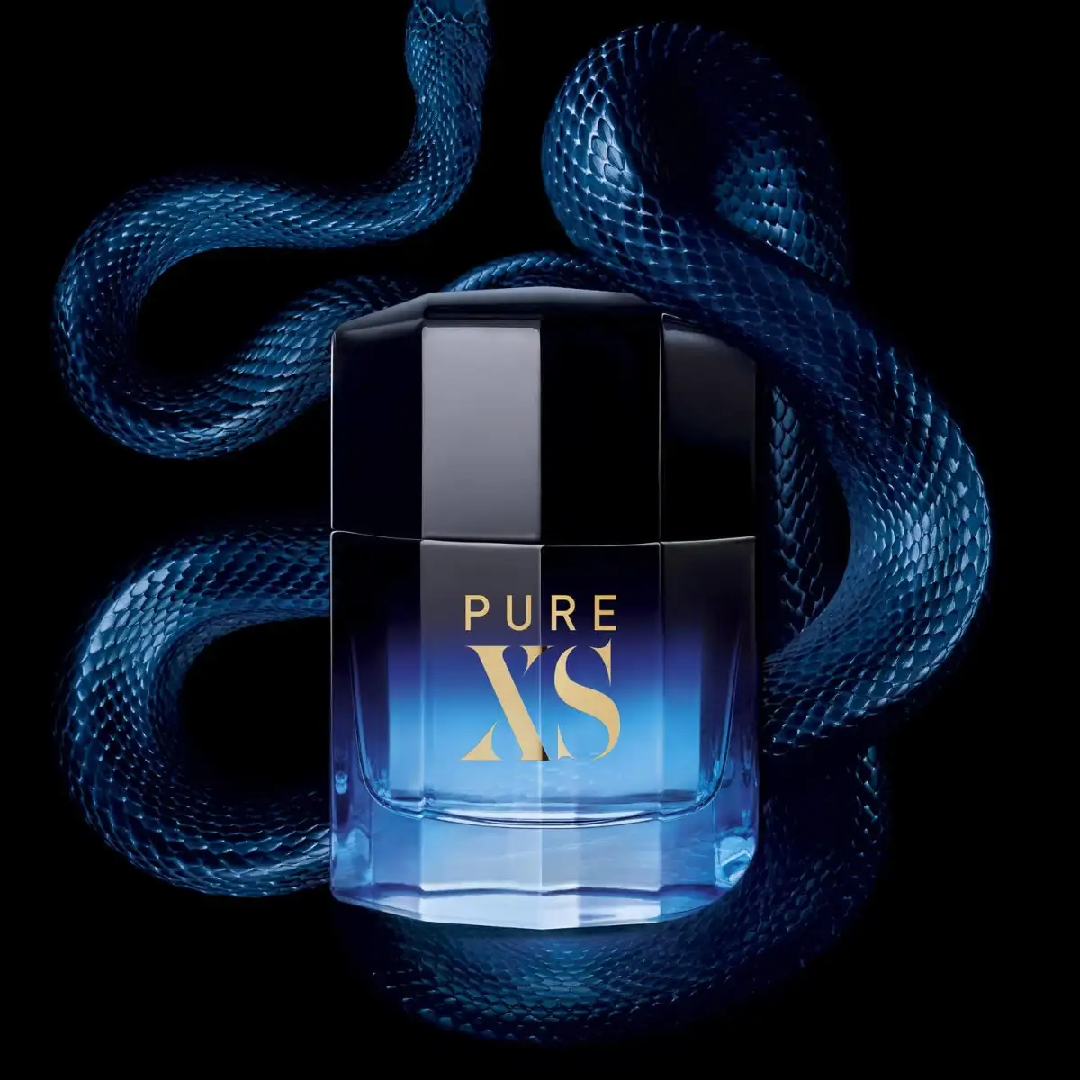 Vue 4