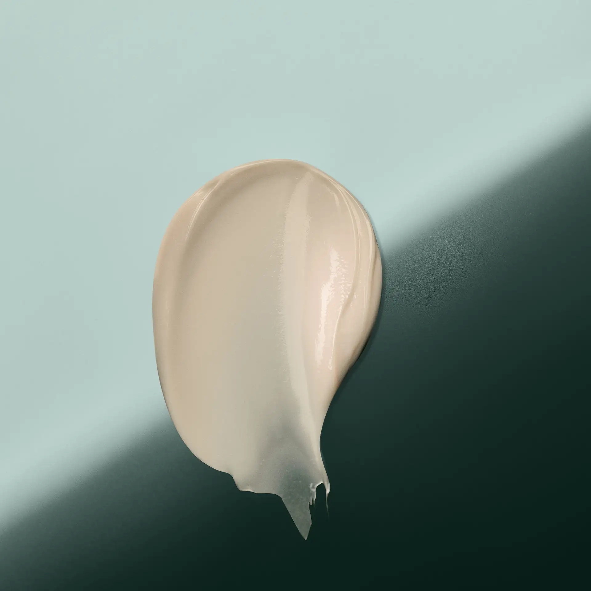 Vue 5
