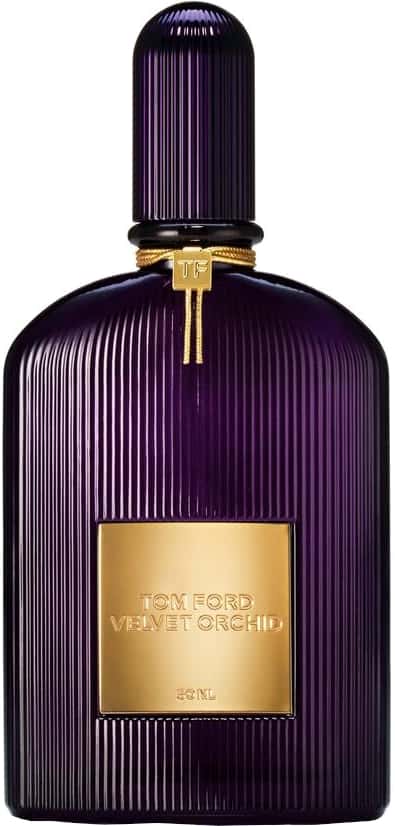 Velvet Orchid