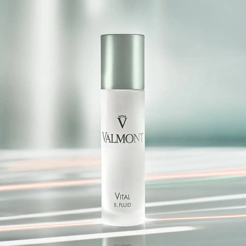 Vista 6