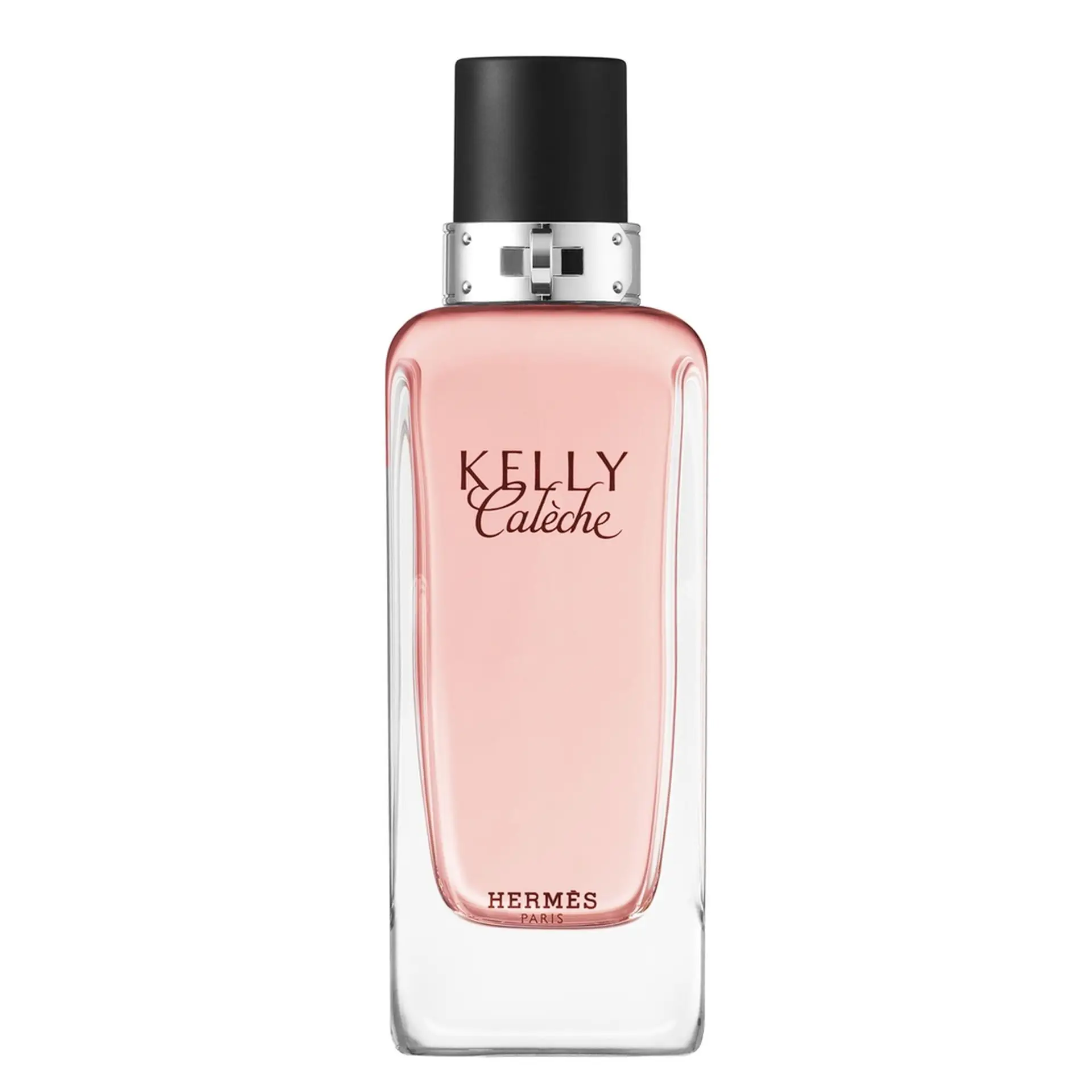 HERMÈS Kelly Calèche
