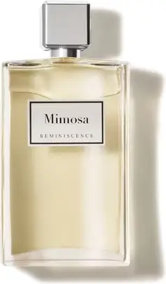 Reminiscence Mimosa