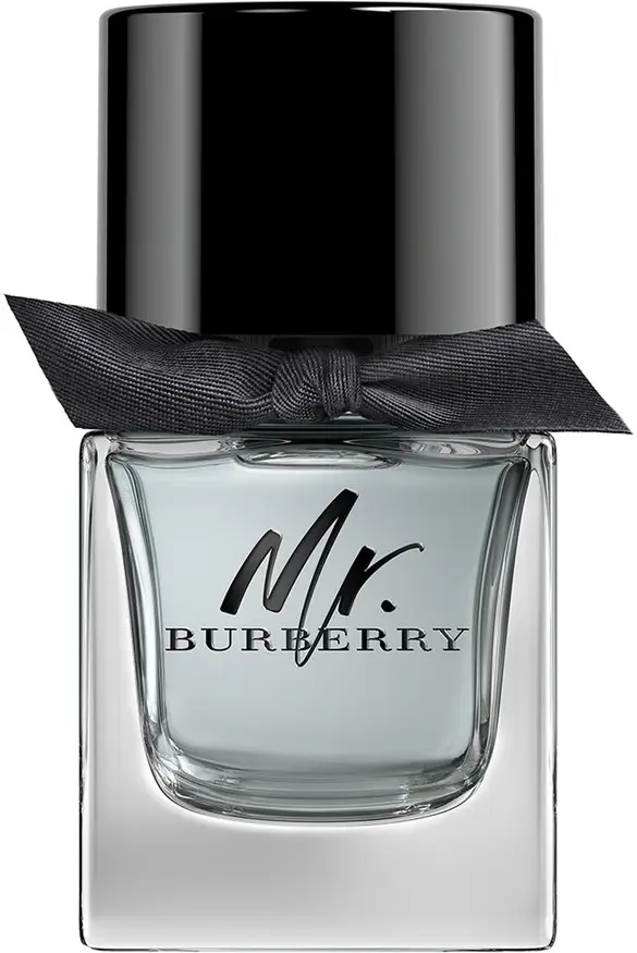 Burberry Mr. Burberry