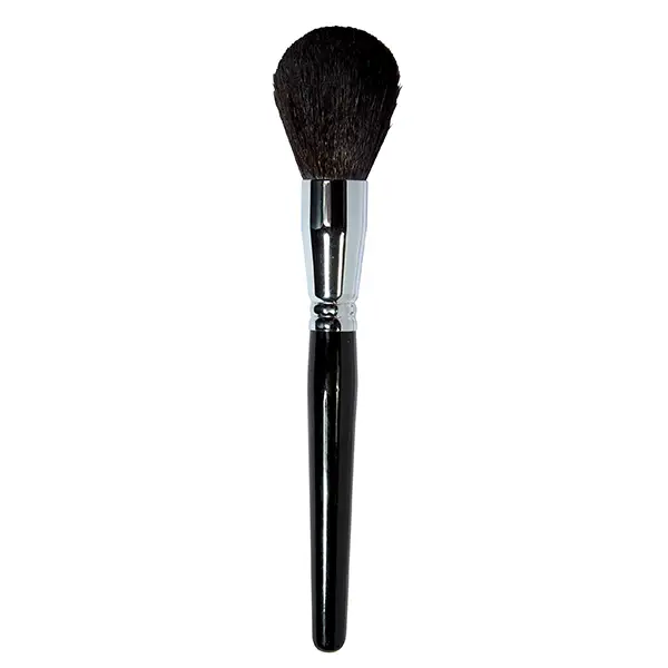 Parisax Pinceau Poudre