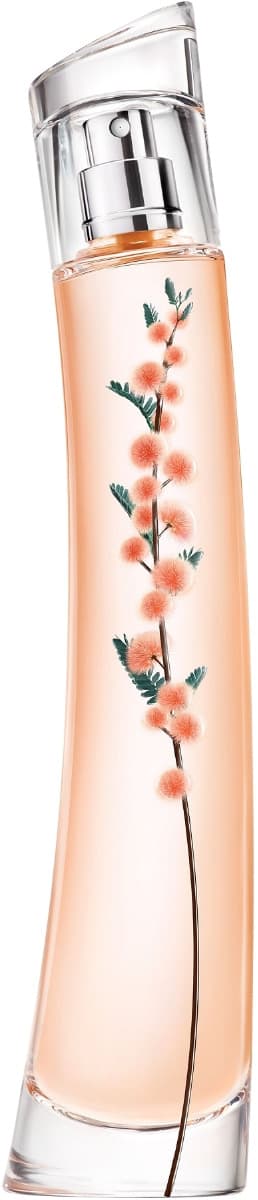 Flower Ikebana Mimosa by Kenzo