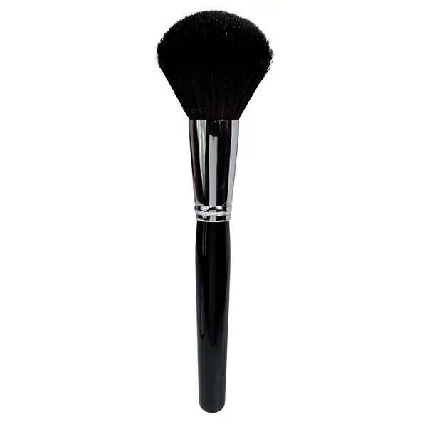Maxi Pinceau Poudre
