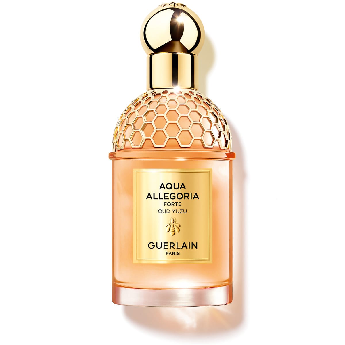 Guerlain Aqua Allegoria Forte