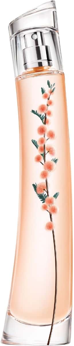 Flower Ikebana Mimosa by Kenzo