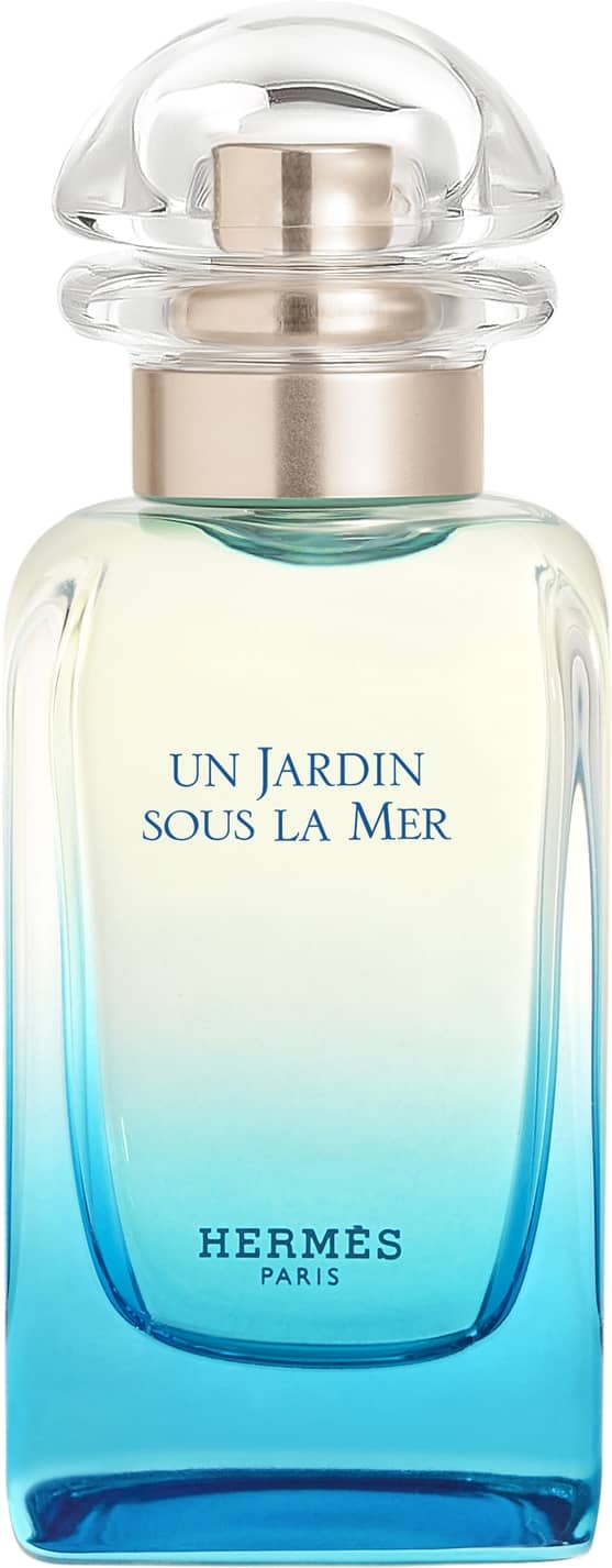HERMÈS Un Jardin Sous la Mer