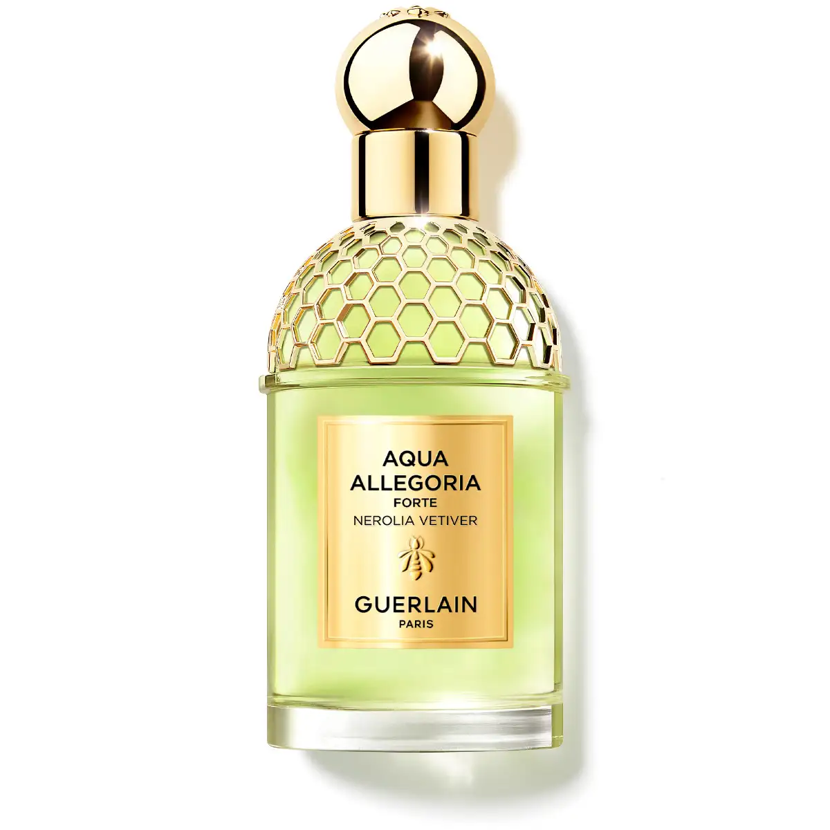 Aqua Allegoria Forte