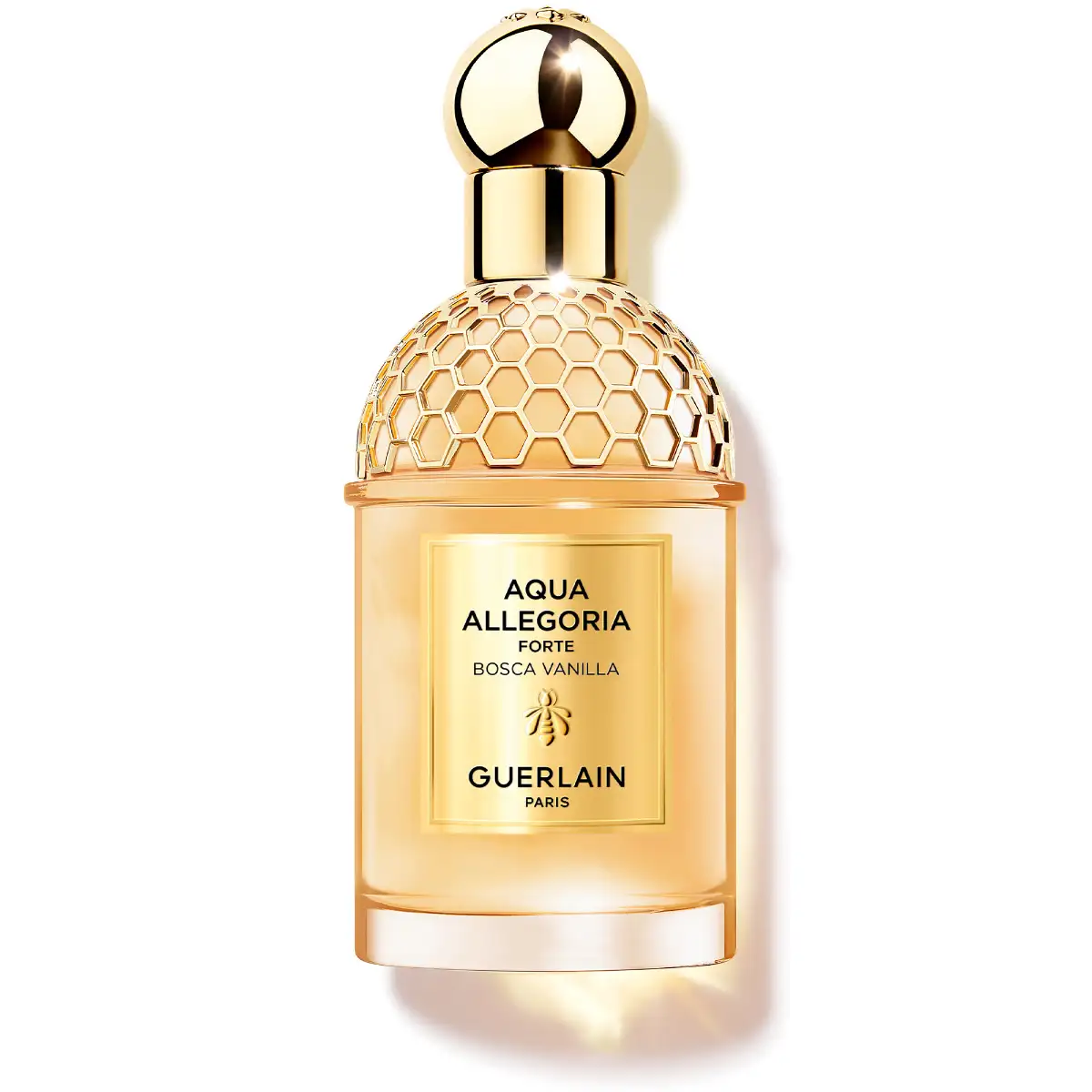 Aqua Allegoria Forte