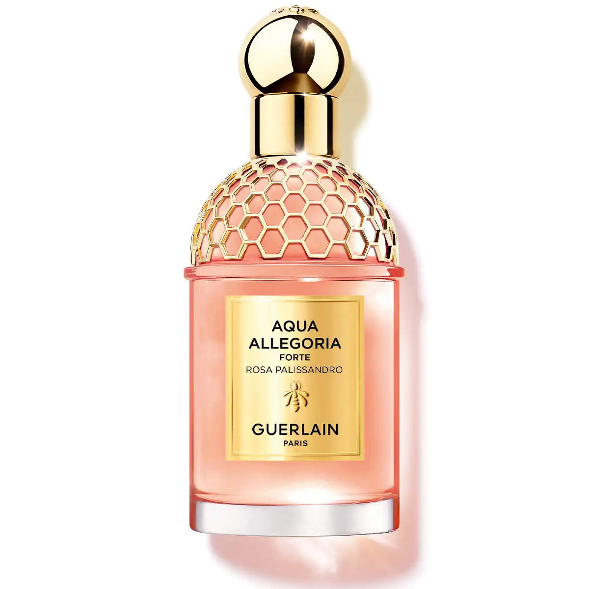 Aqua Allegoria Forte