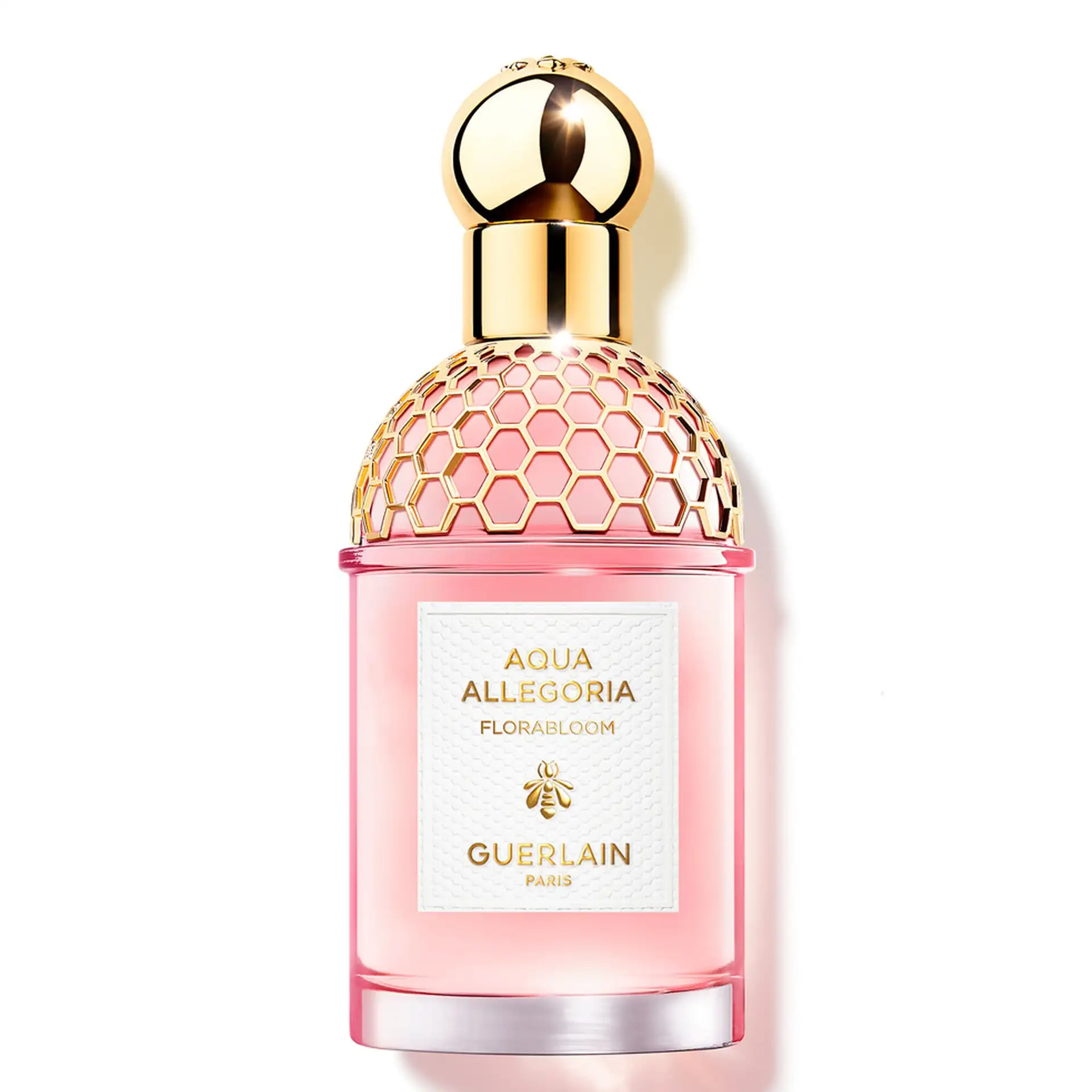 Aqua Allegoria