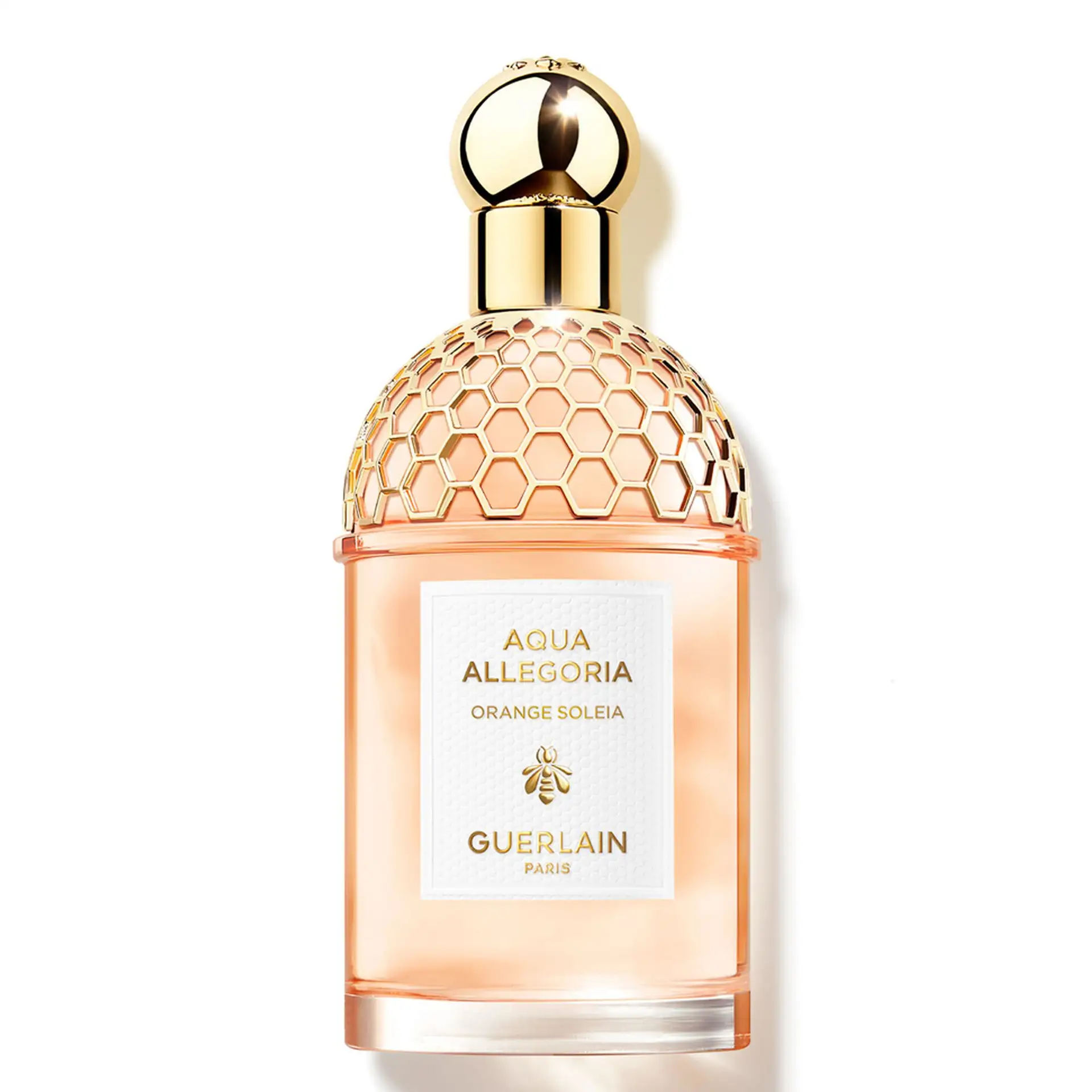 Aqua Allegoria Orange Soleia