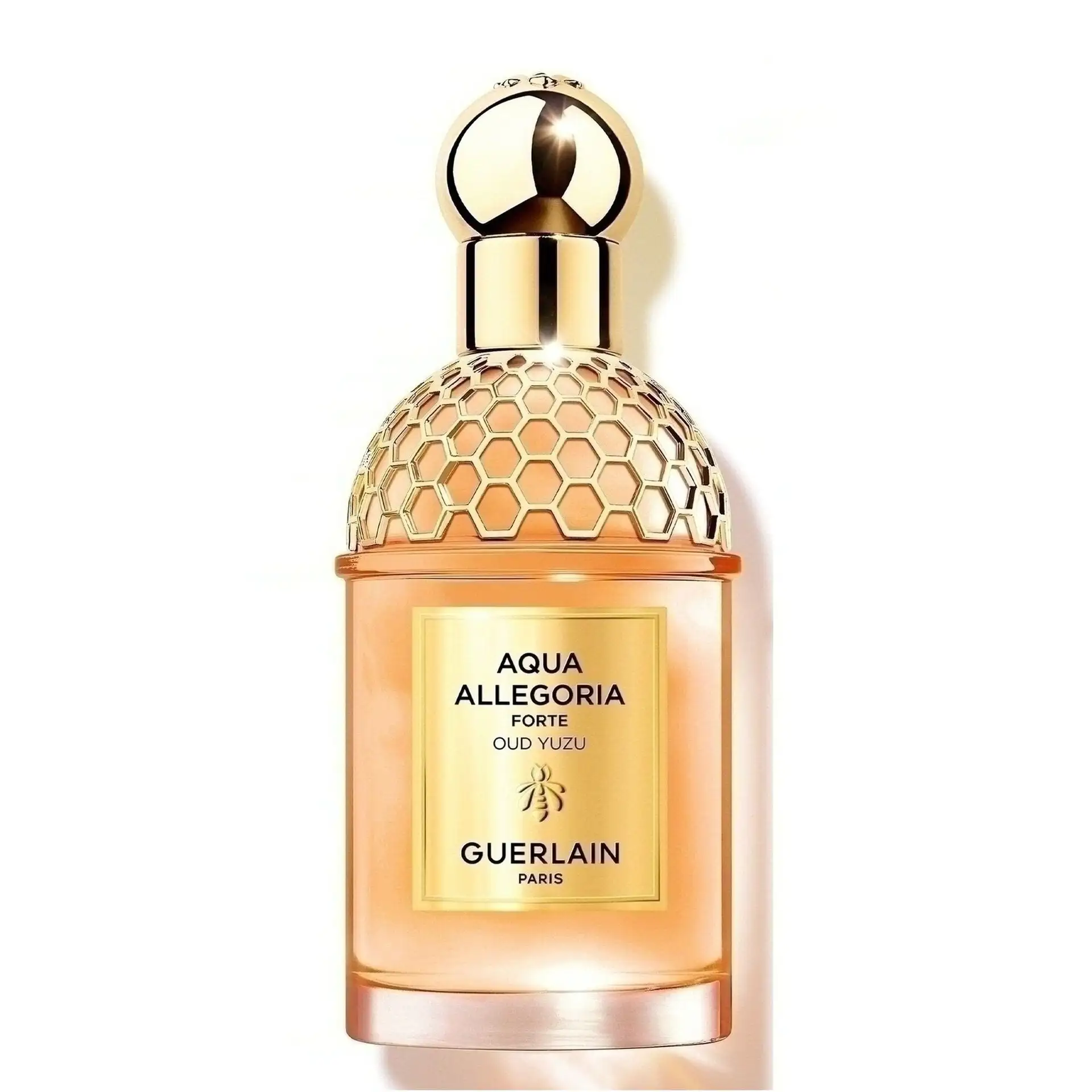 Aqua Allegoria Forte