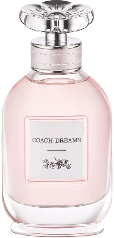 Coach Dreams