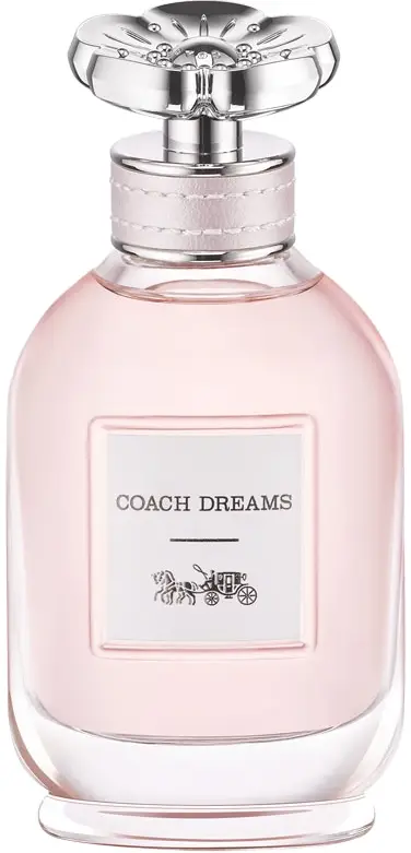Coach Coach Dreams