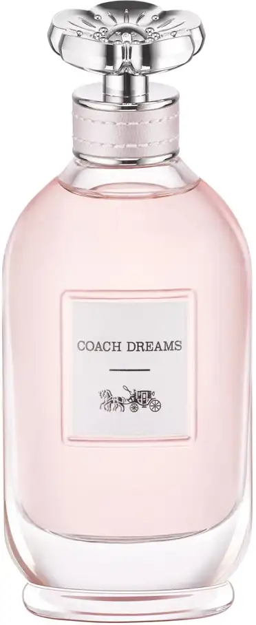 Coach Coach Dreams