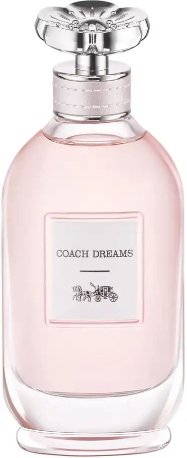 Coach Dreams