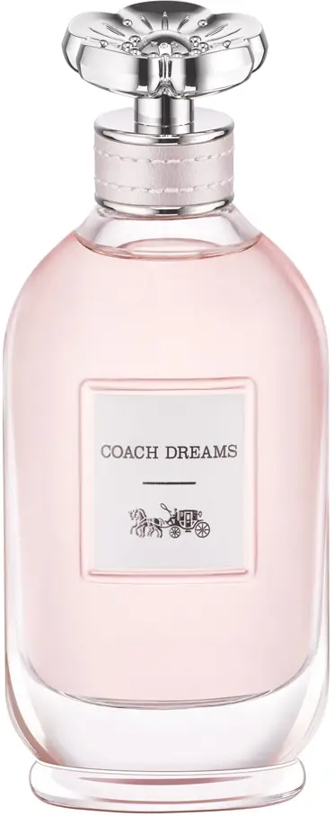 Coach Coach Dreams