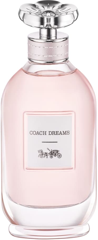 Coach Dreams