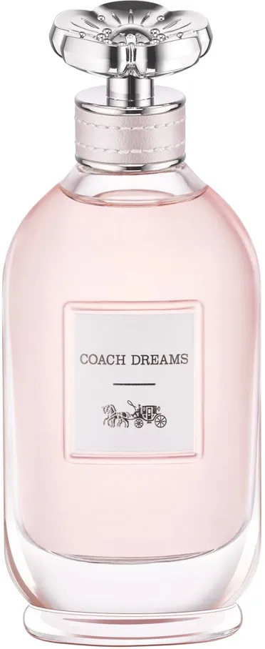 Coach Coach Dreams