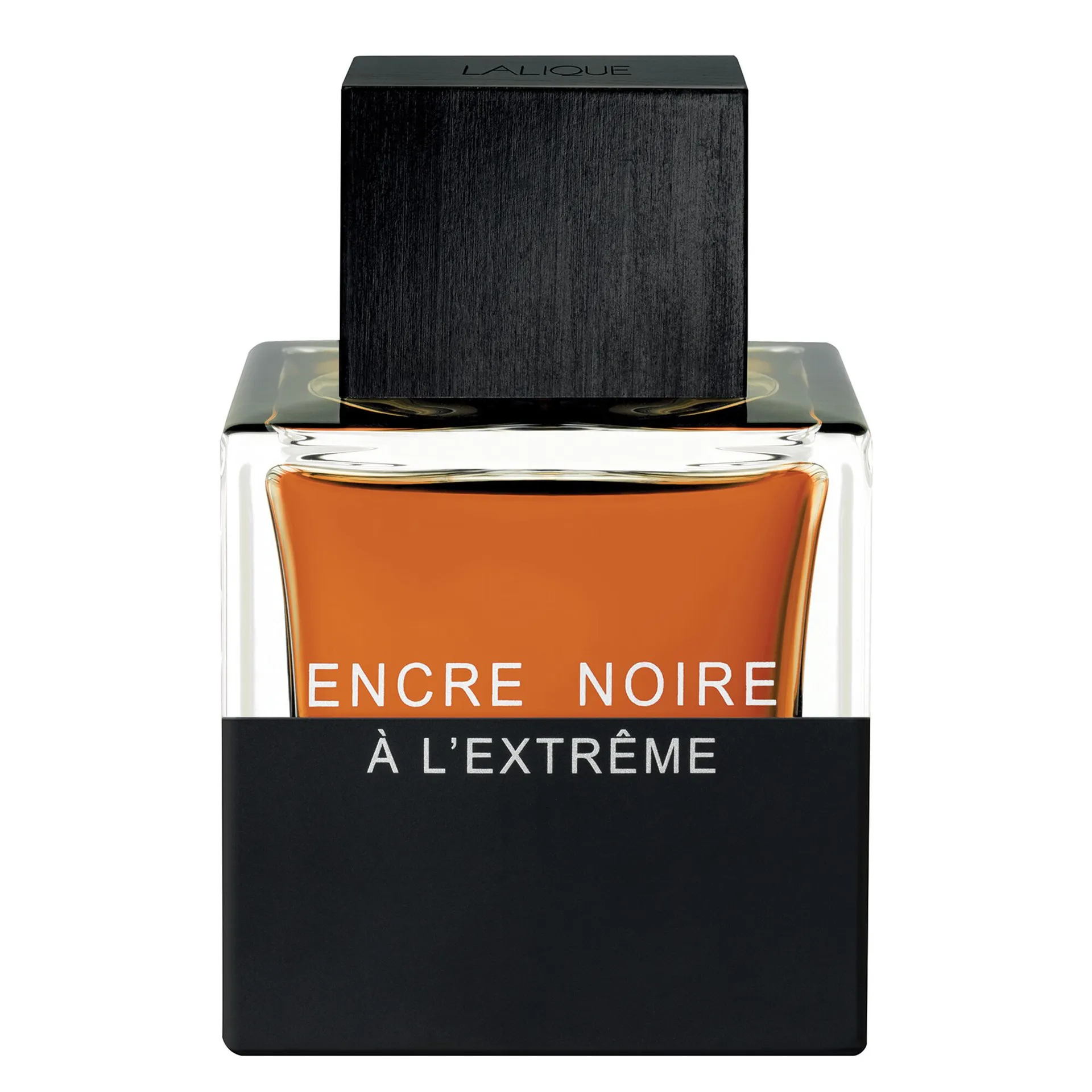 Lalique Encre Noire à L'Extrême